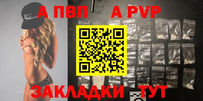 стафф Донской