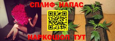 стафф Донской