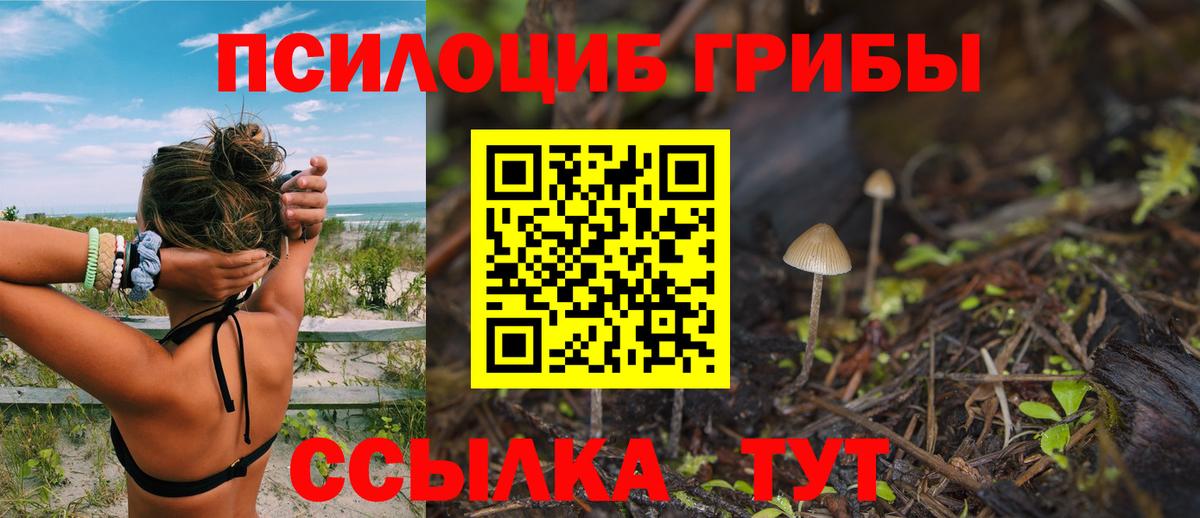 что такое   Вход с VPN  Мариинск  Галлюциногенные грибы ЛСД 